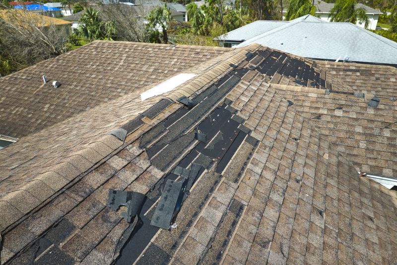 Roof Repair Exterior
